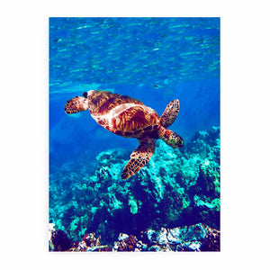 Sea Turtle Original Painting
