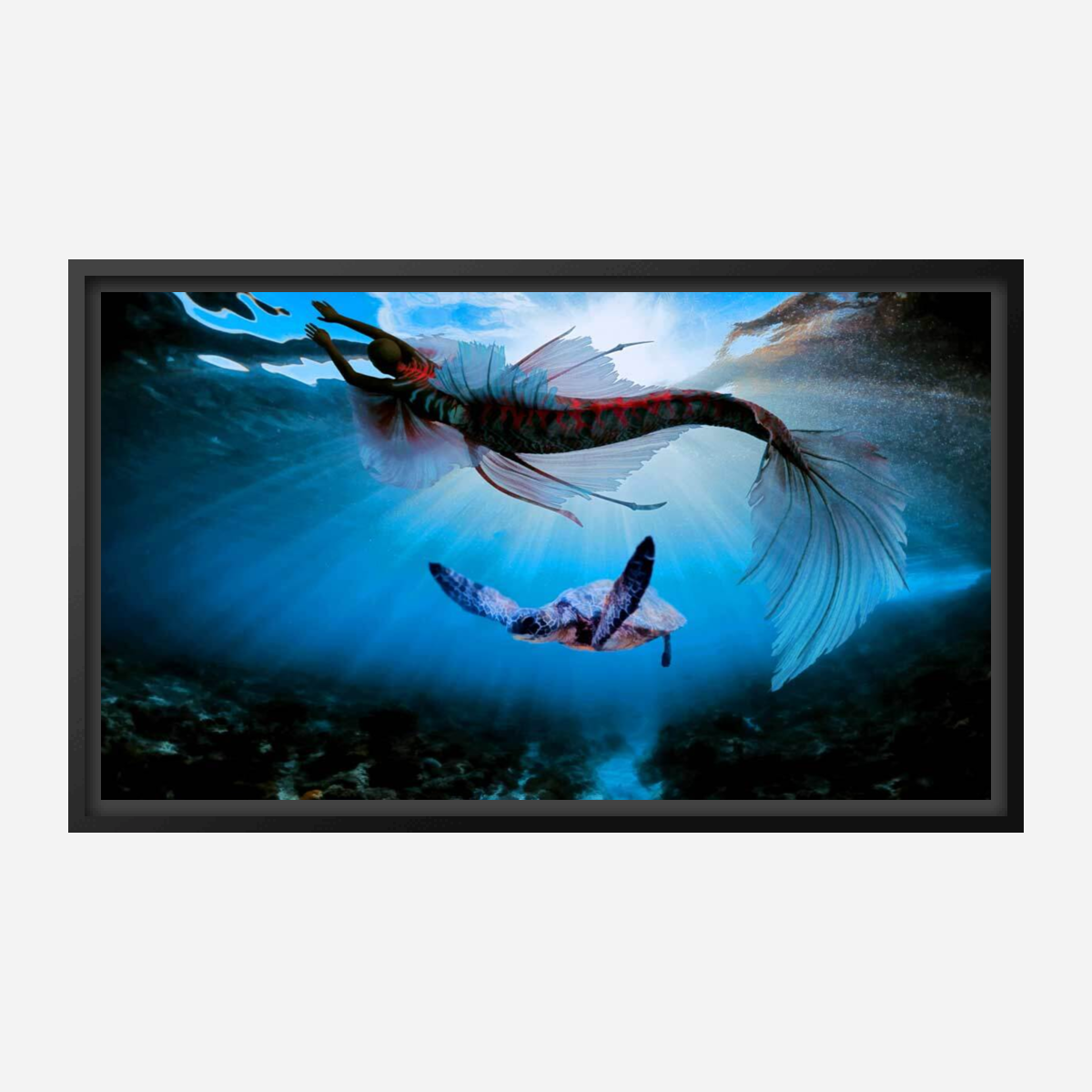 Turtle and Fish Art
