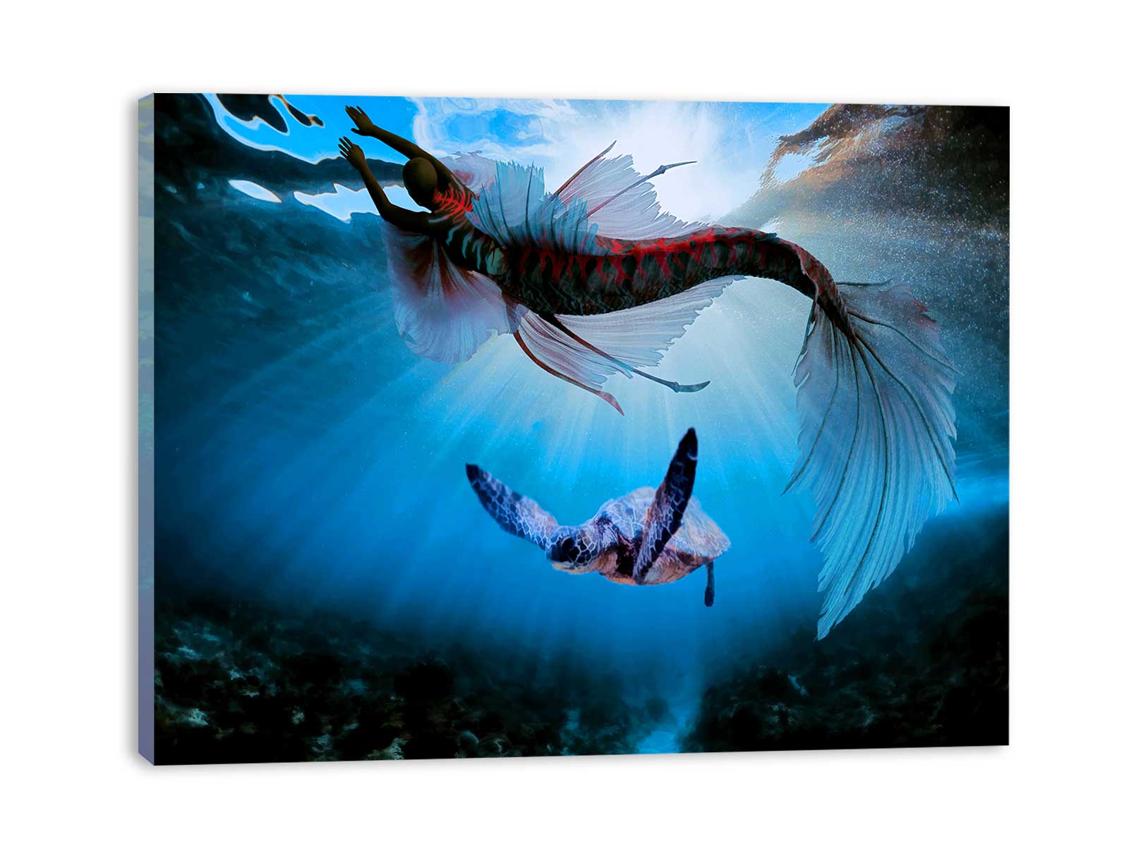 Turtle and Fish Art
