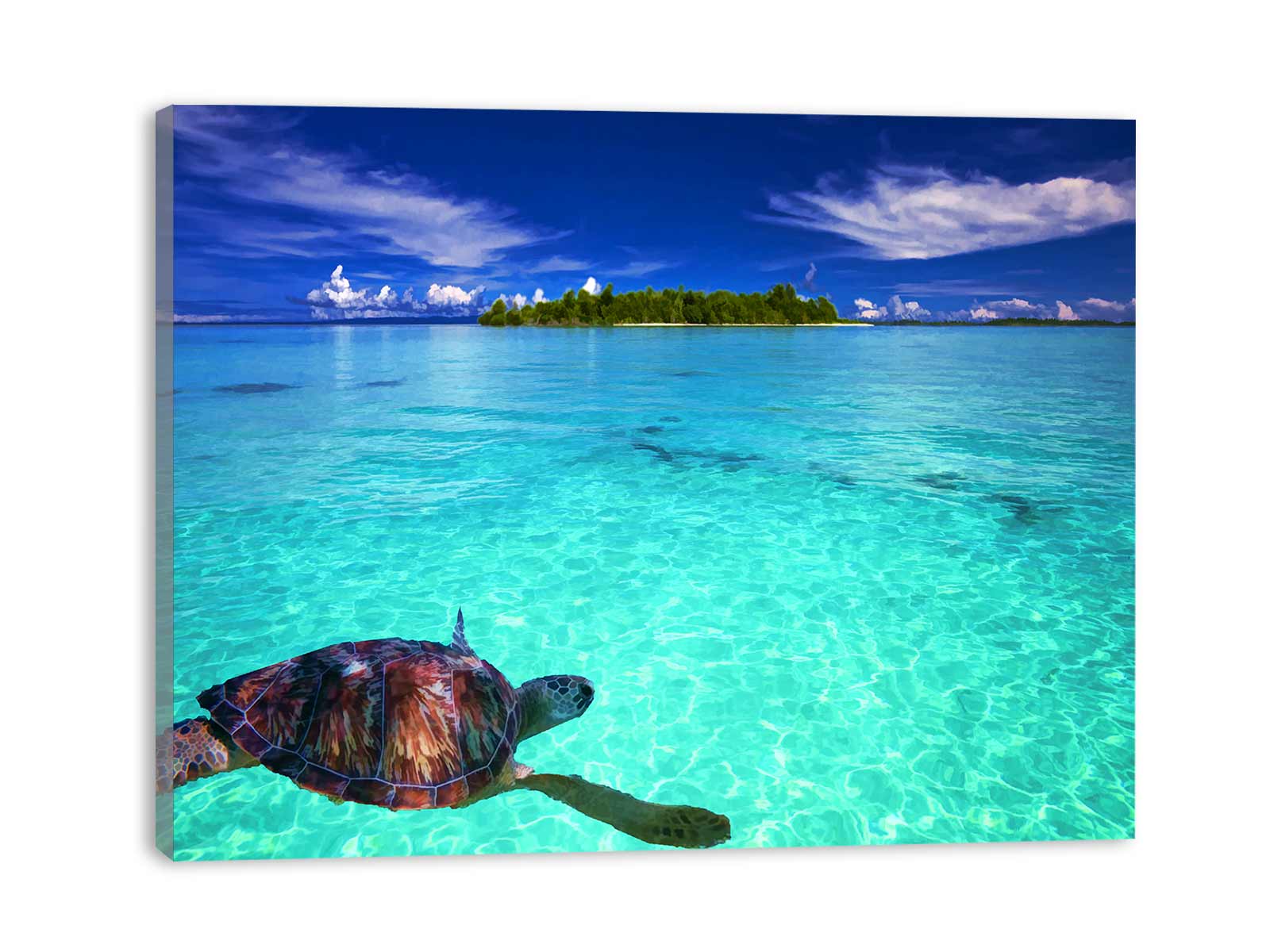 Turtle in Sea Painting