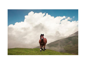 Horse Painting