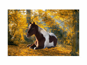 Horse Wall Art Painting