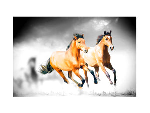 Horse Couple Painiting
