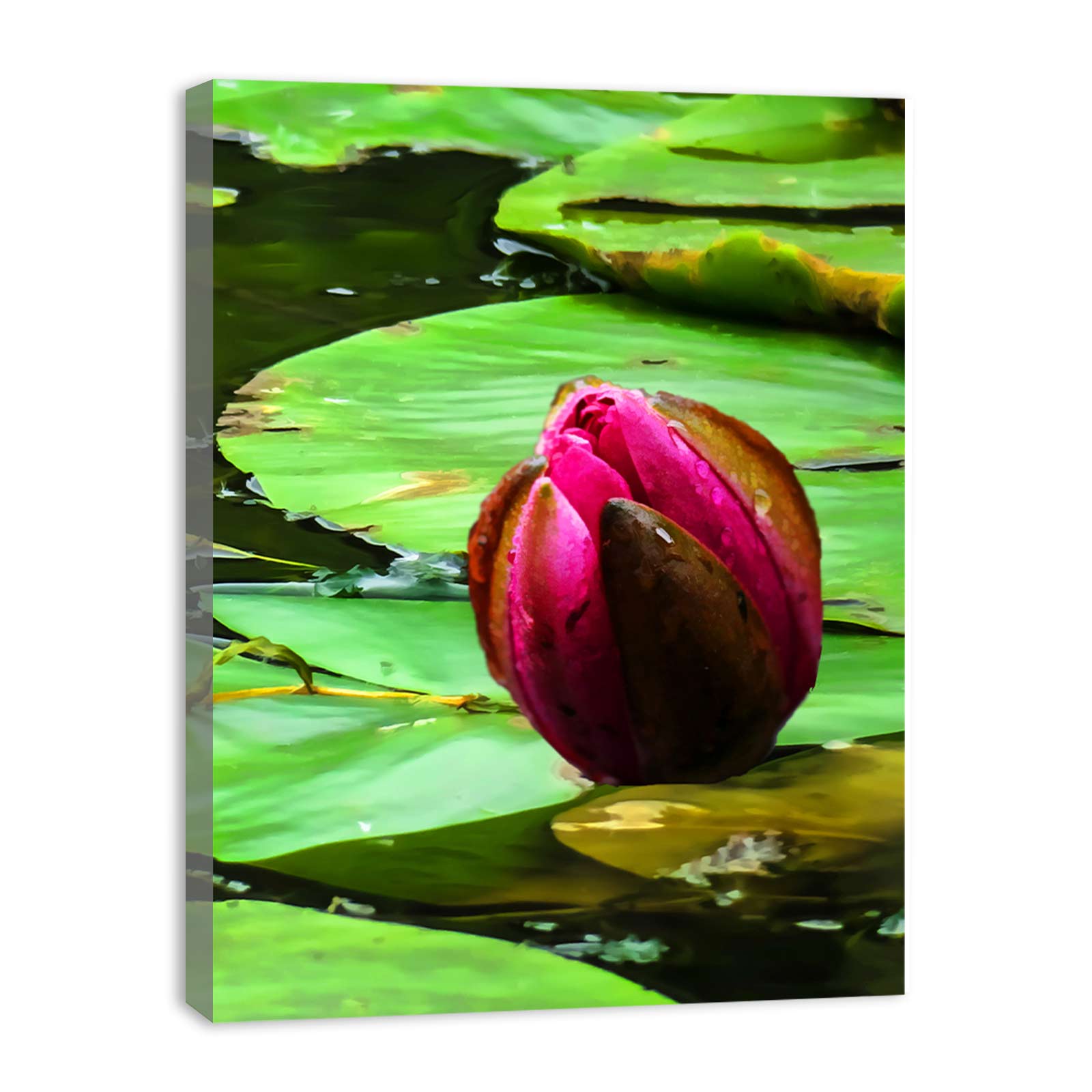 Flower Bud Pond Painting