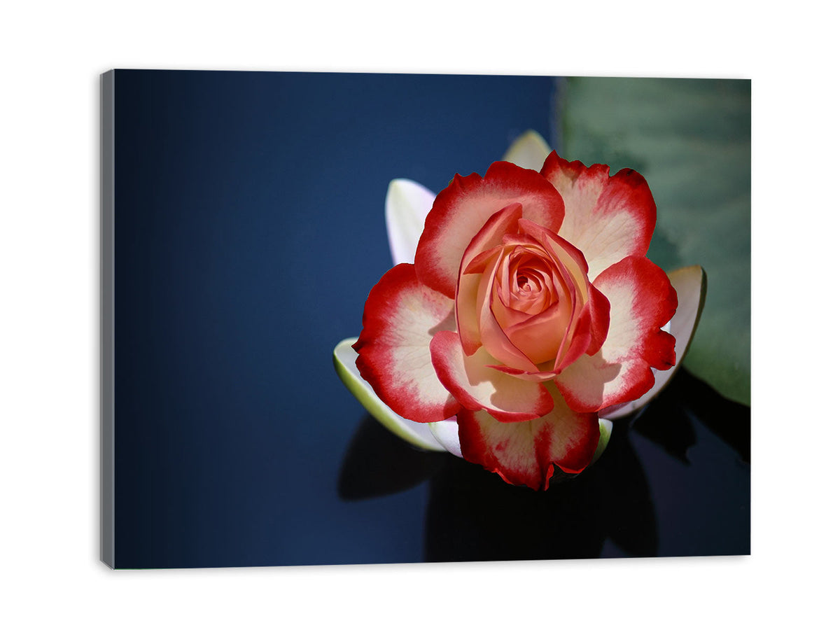 Lily Flower Painting 2