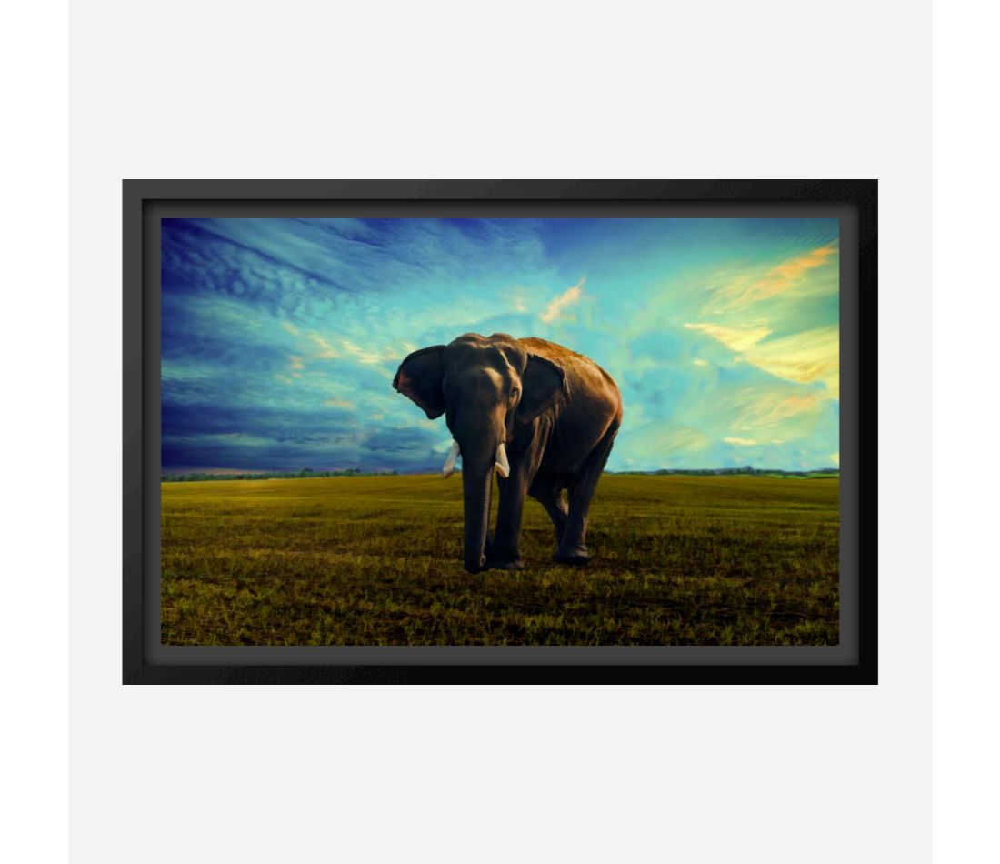 Elephant Painting