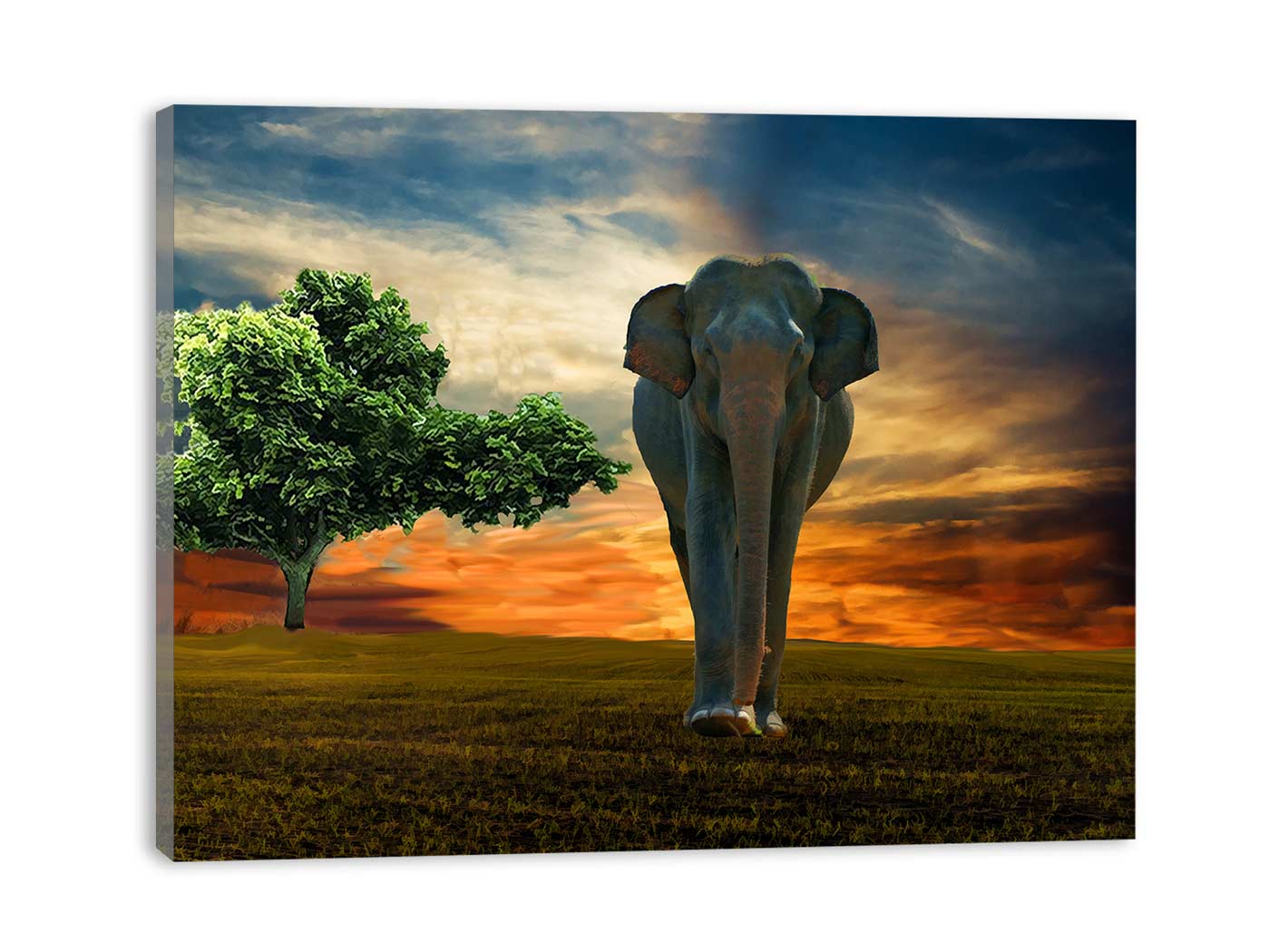 Elephant & Tree Painting