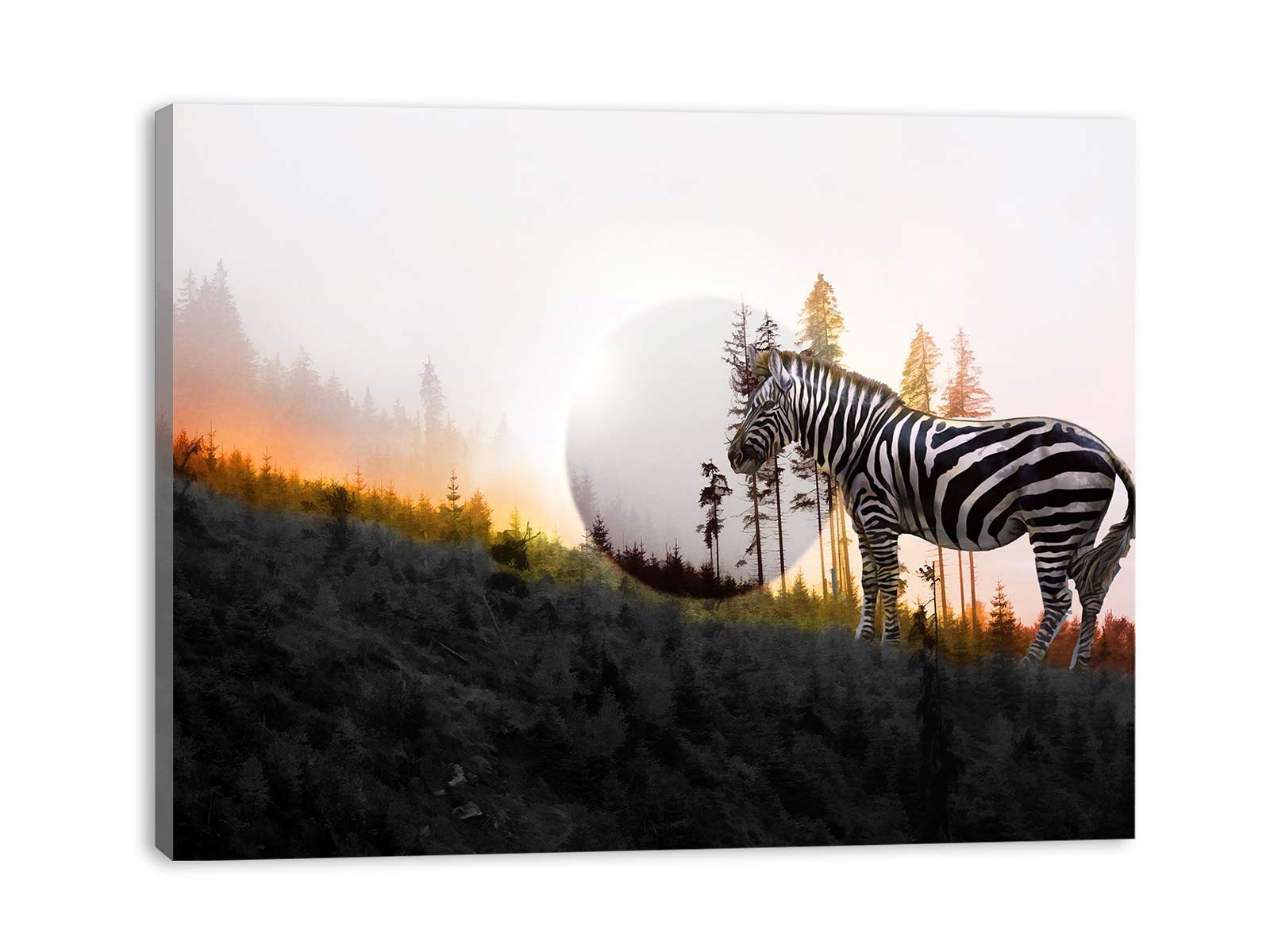 Zebra Moon Painting