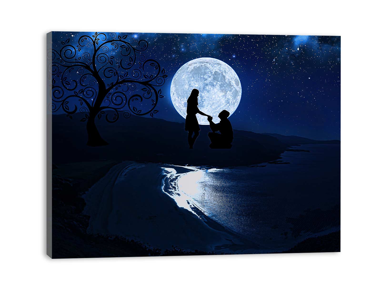 Couple propose in Moonlight Painting