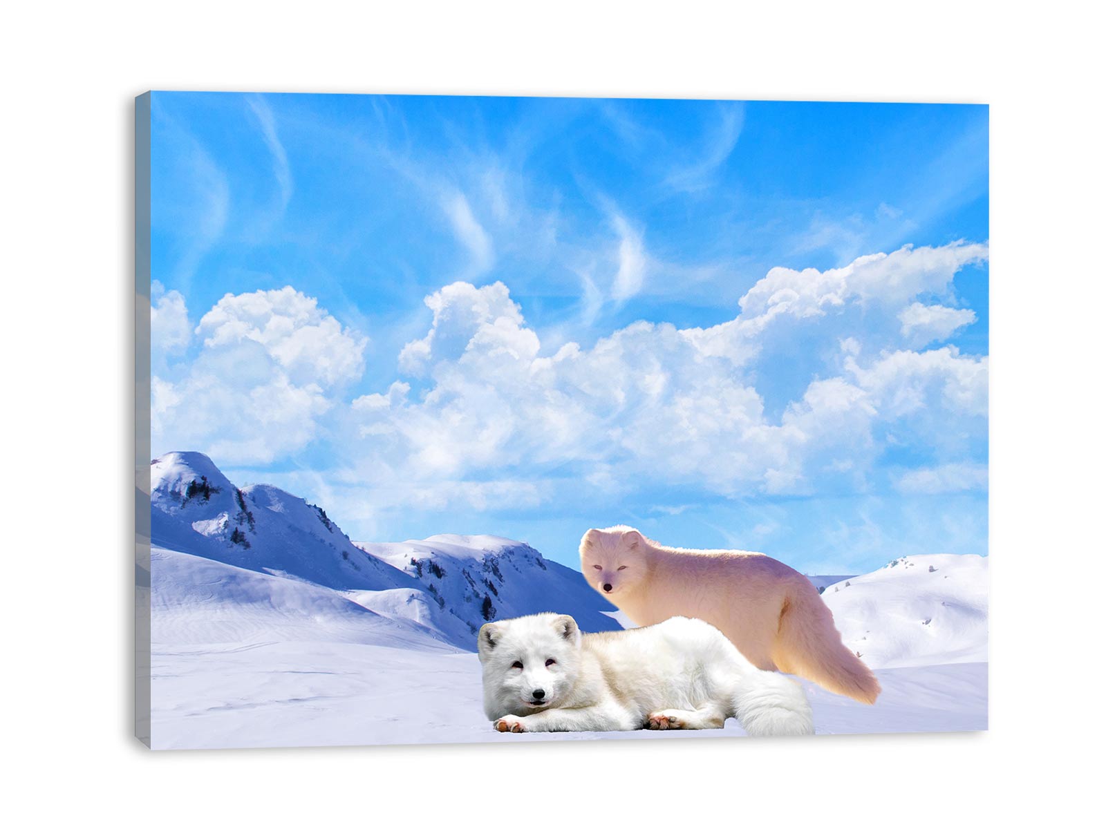 Arctic Fox Painting