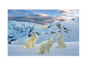 Three Arctic Fox Painting