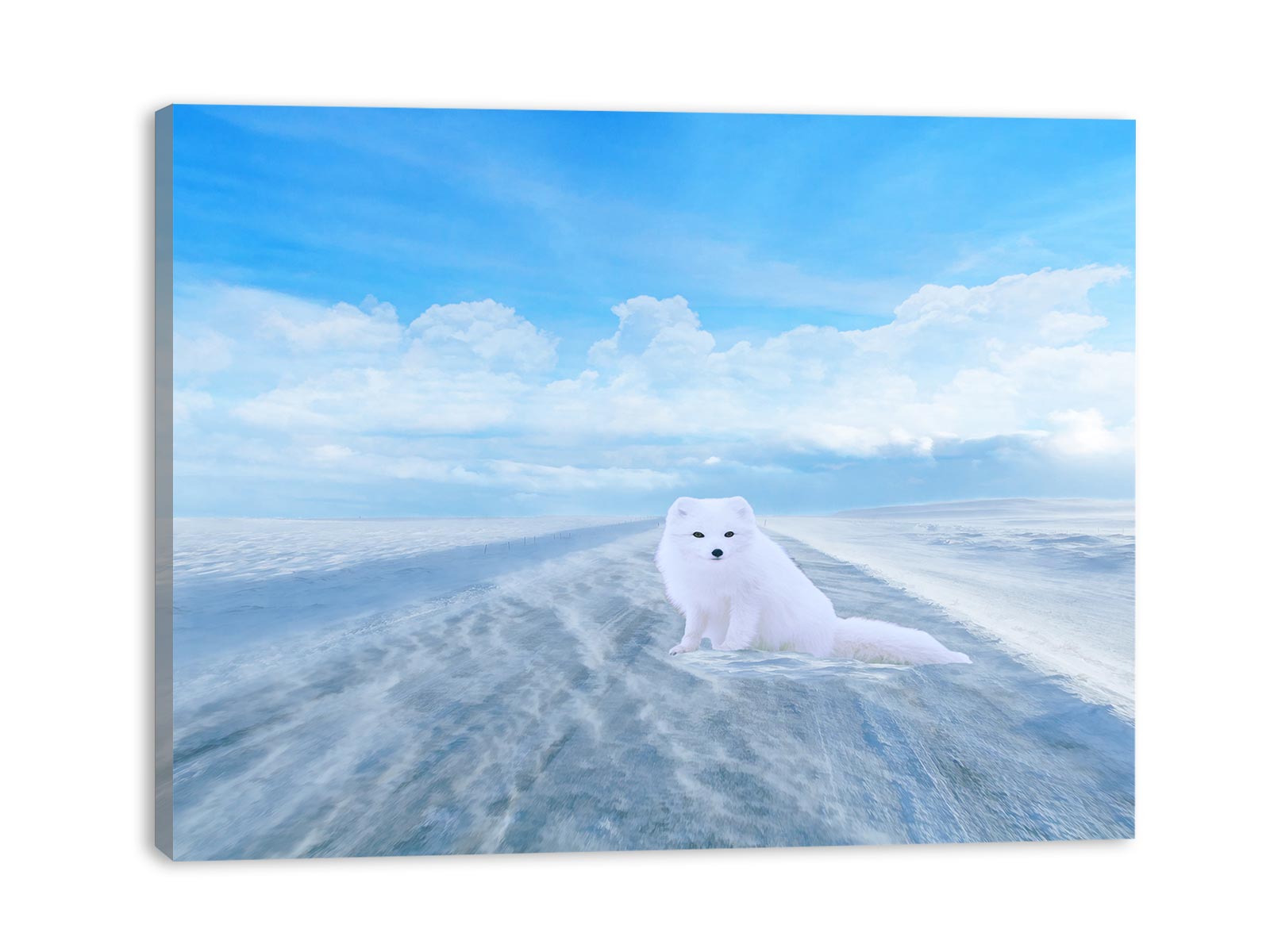 Snow Arctic Fox Painting