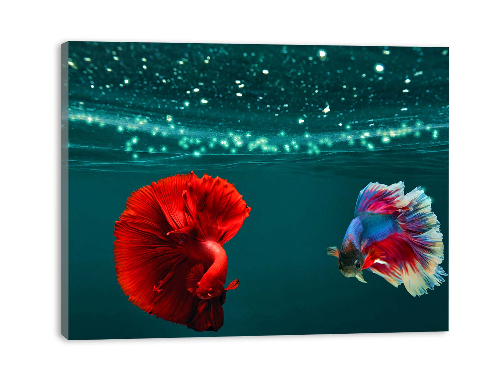 Colorfull Sea Fish Painting-1