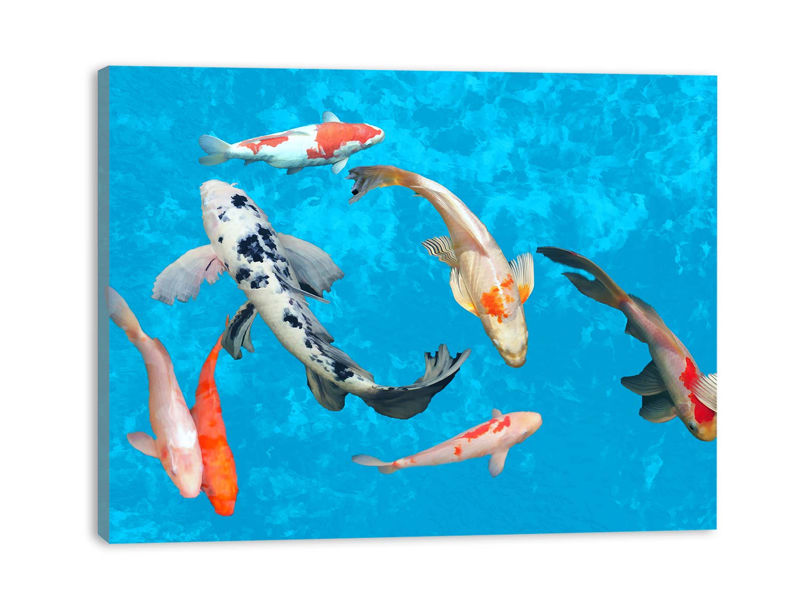 Group of Fishes Painting