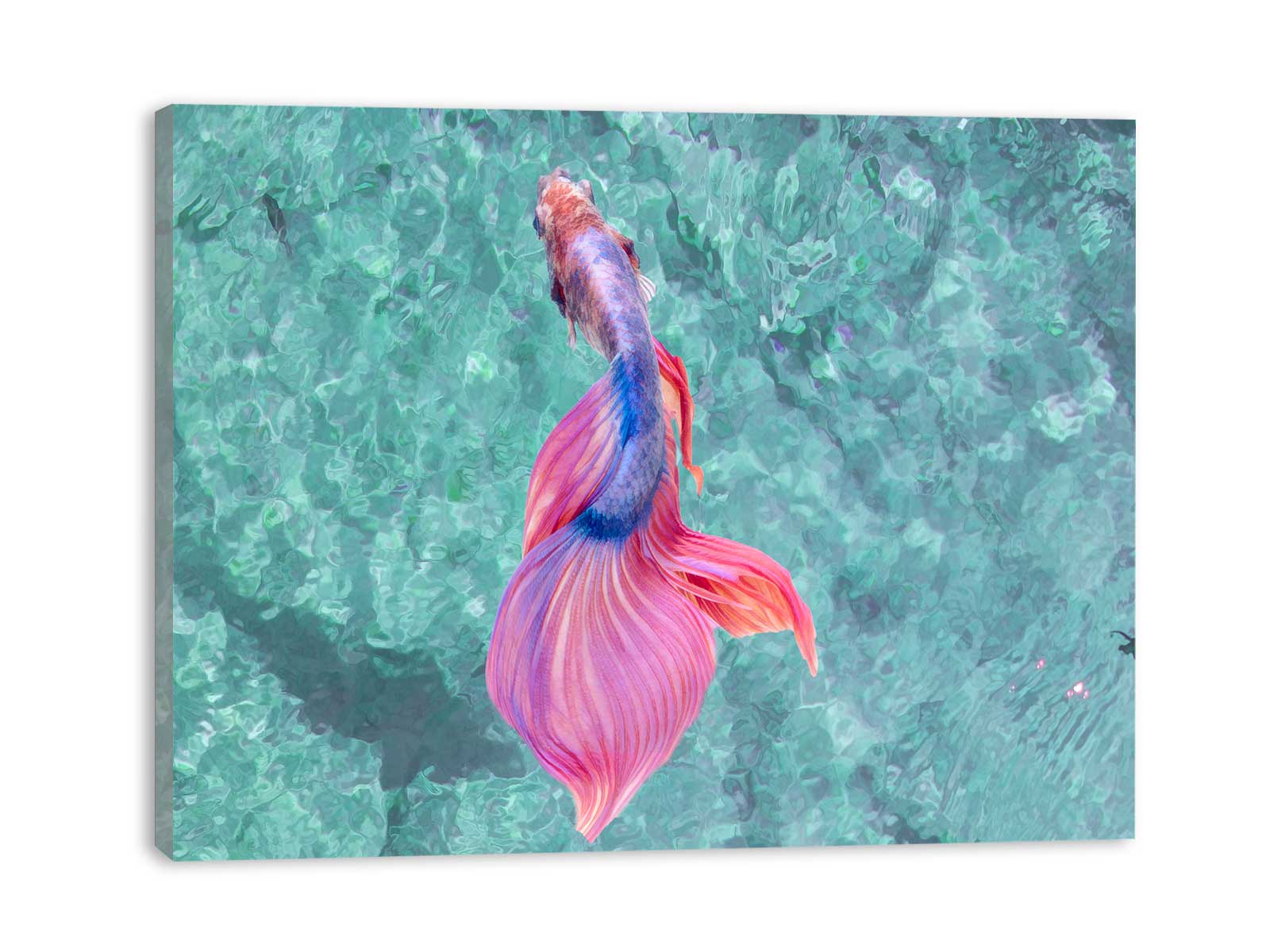Blue And Pink Sea Fish Painting