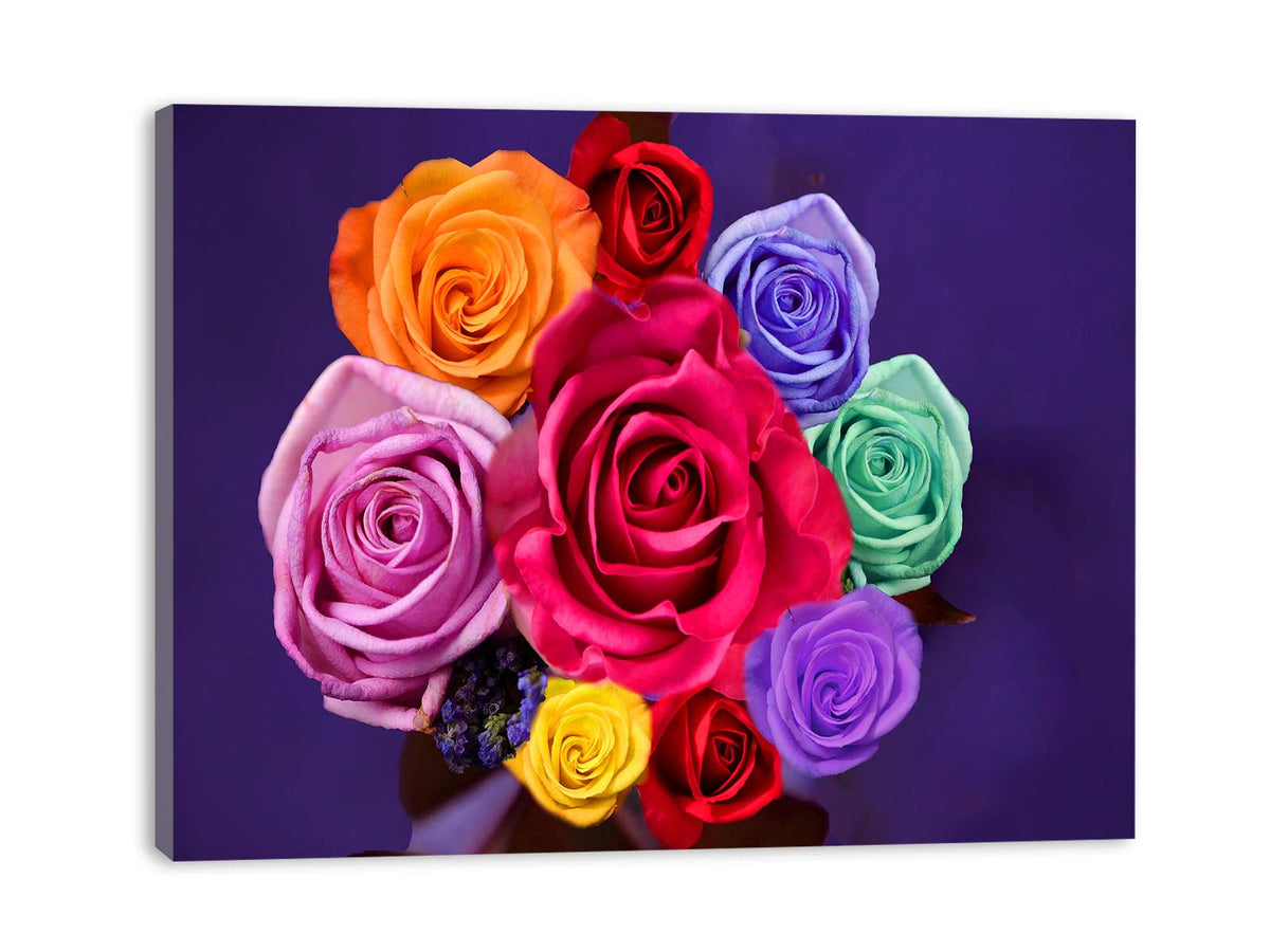 Colorfull Roses Painting