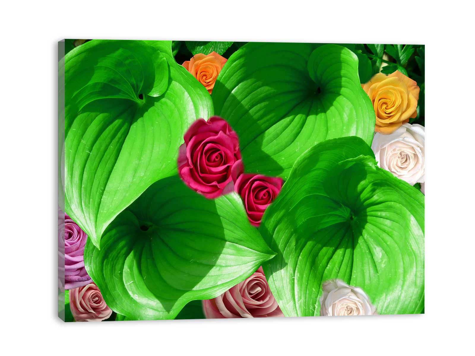 Colorfull Roses With Leaf Painting