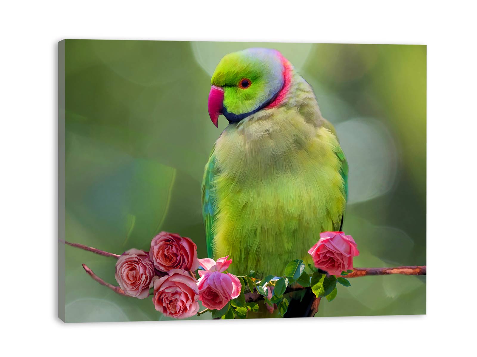 Parrot And Roses Painting