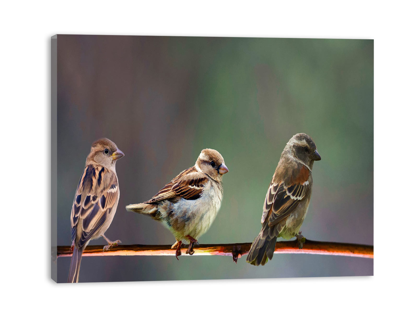 Birds on Tree Branch Painting