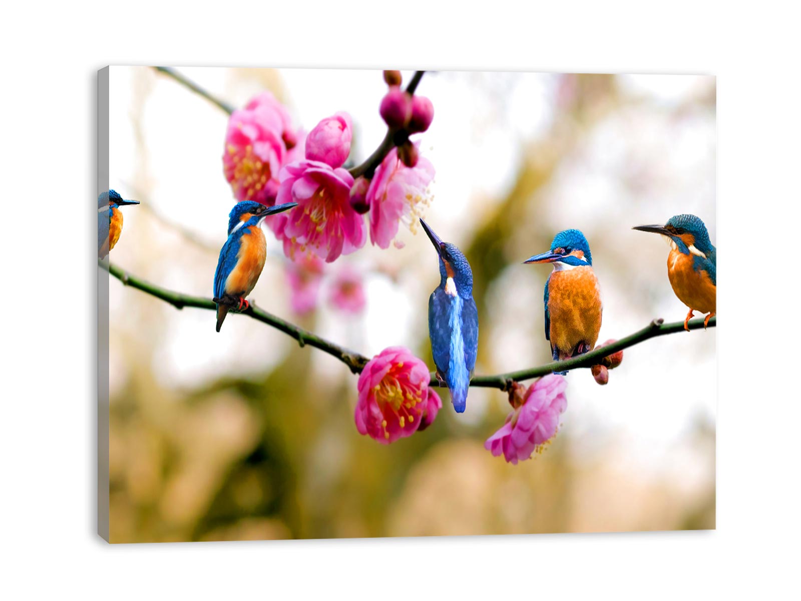 Kingfisher Bird Painting