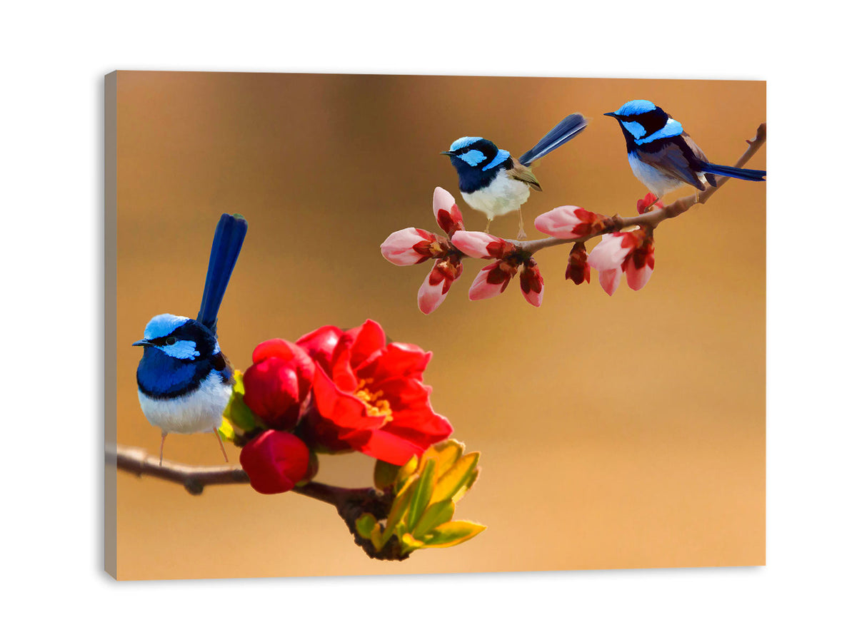Blue Bird Sparrow Painting