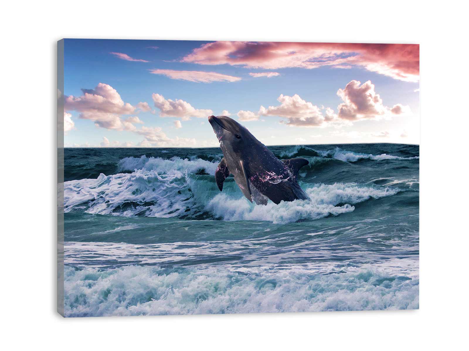 Grey Dolphin Painting