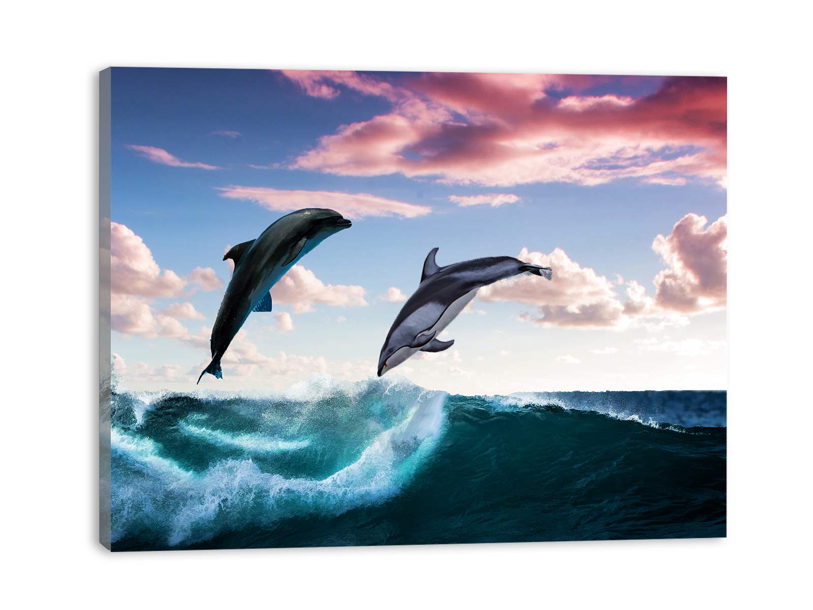 Black Dolphin Painting