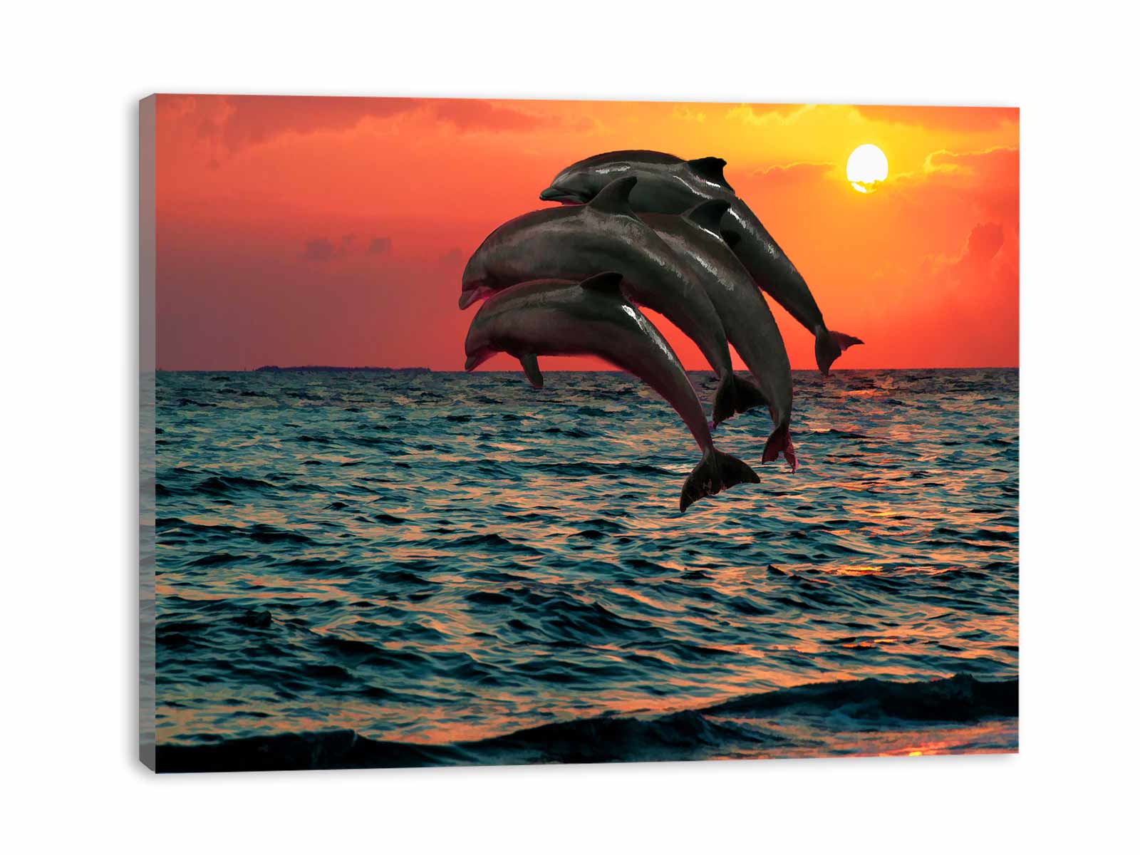 Four Dolphin dancing on water Painting