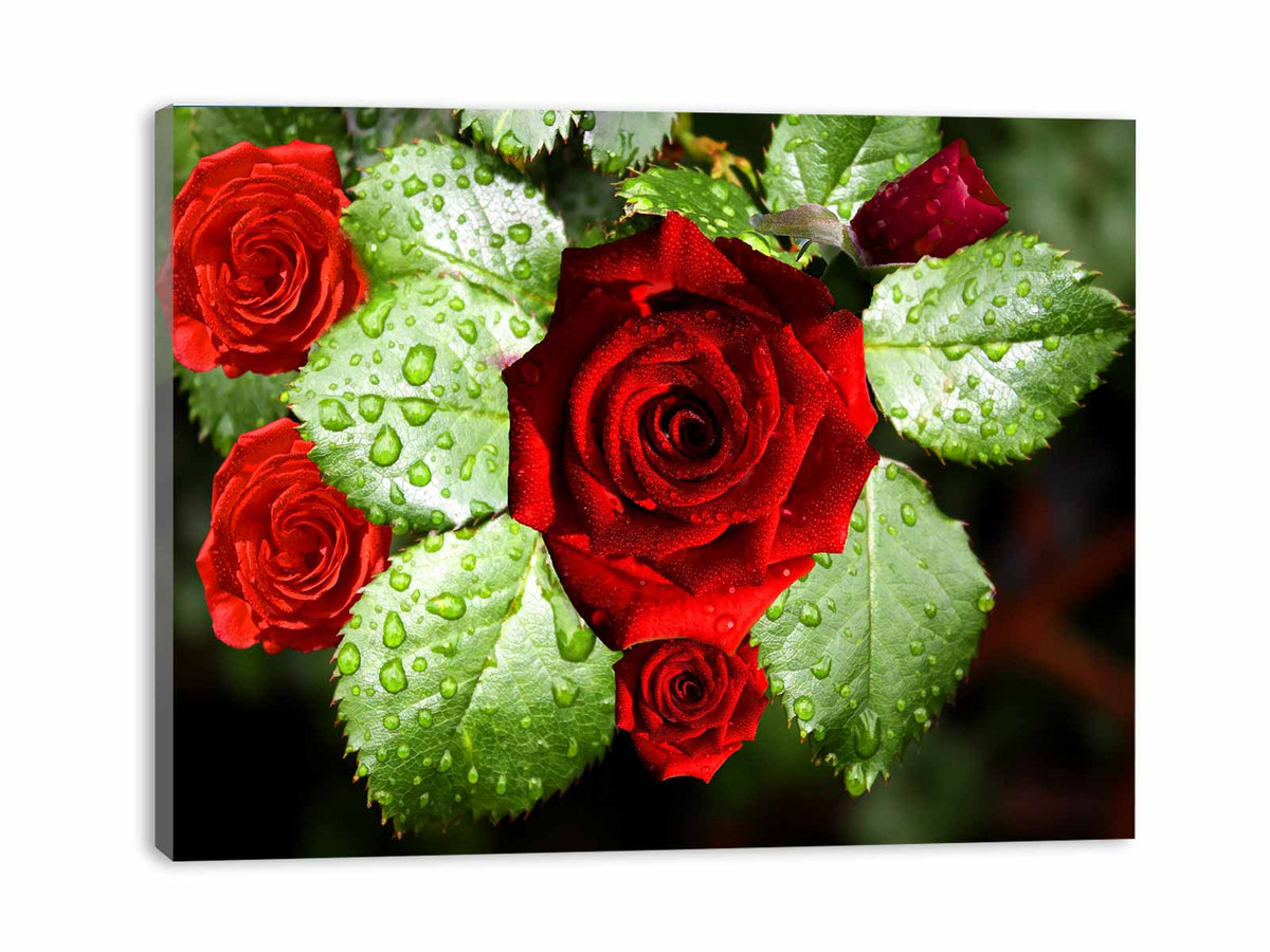 Red Roses Painting