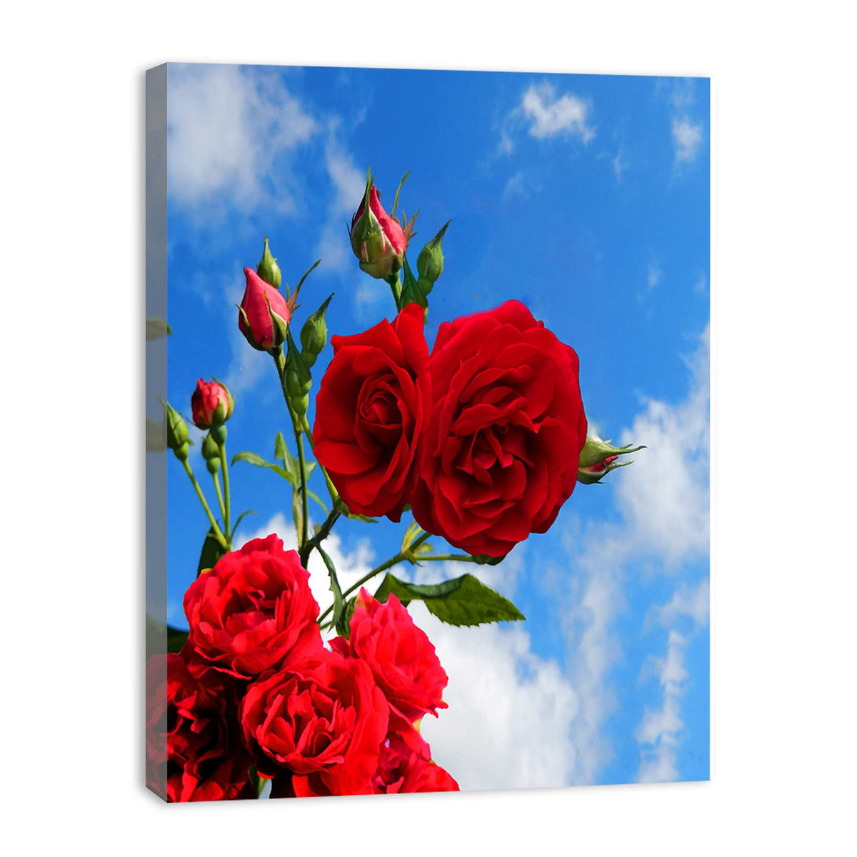 Rose With Bud Painting