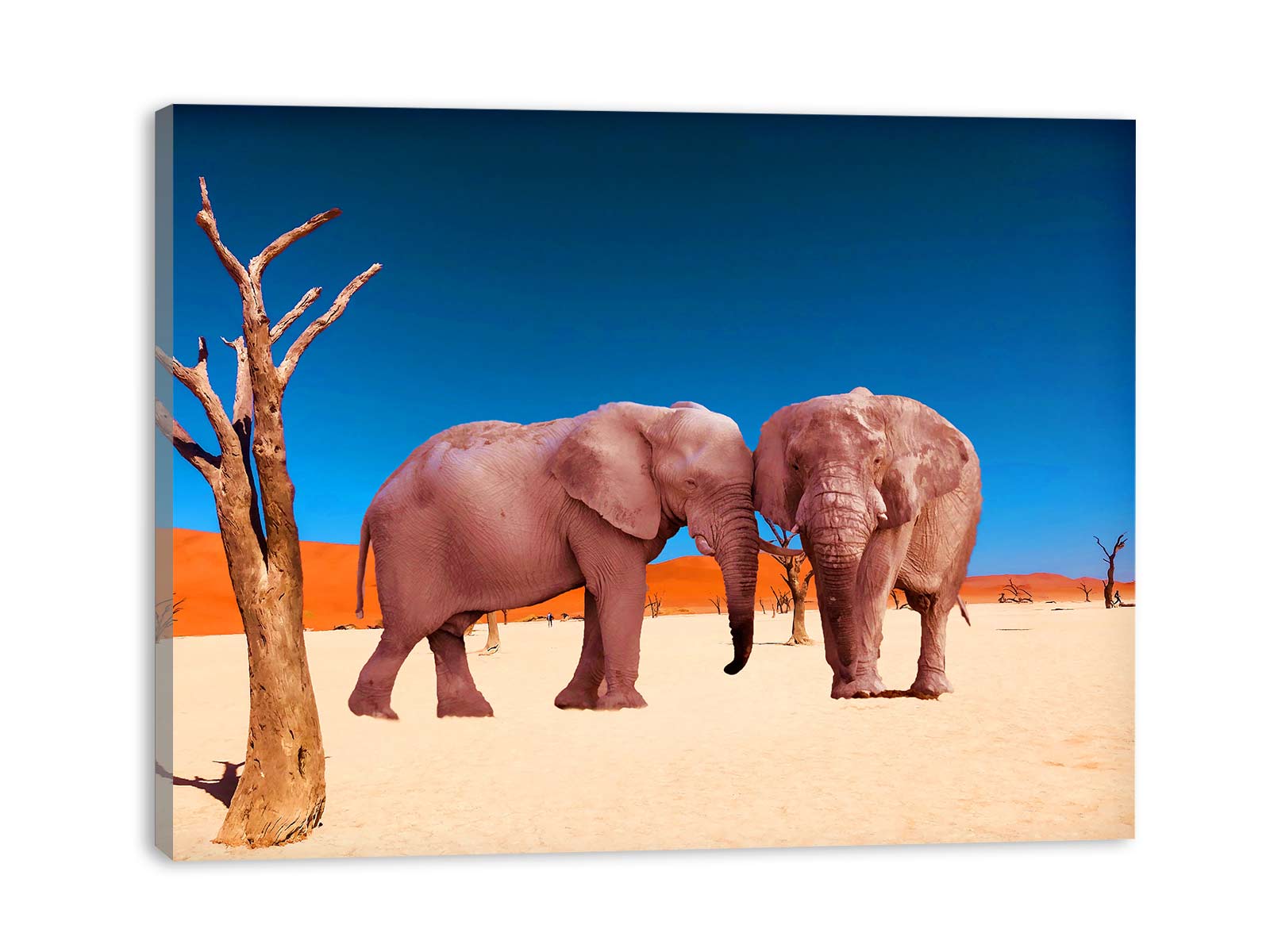 Africa Elephant Painting