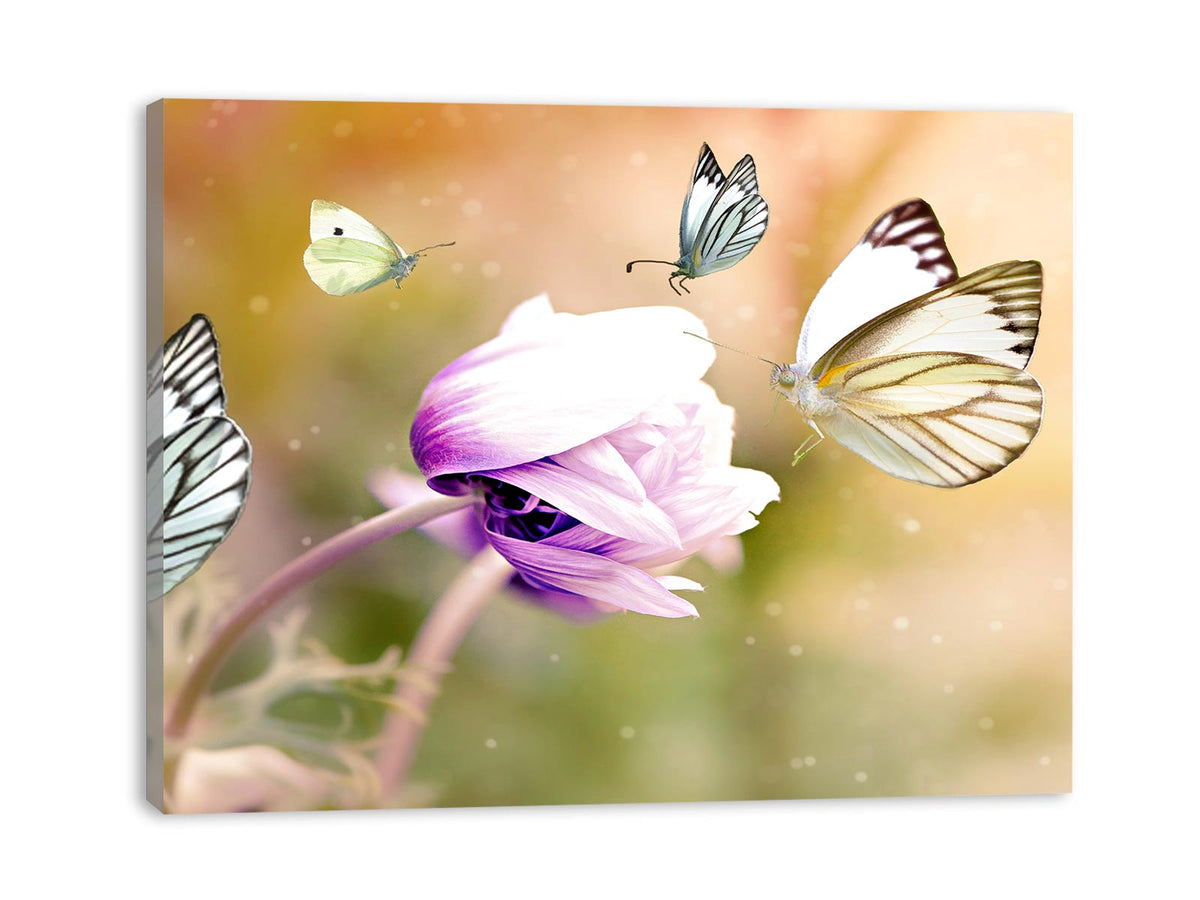 Butterfly Painting