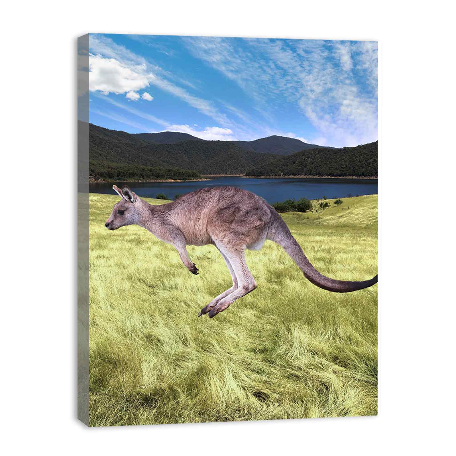 kangaroo Painting