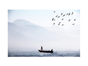Bird Sea Boat Lake Black and White Painting