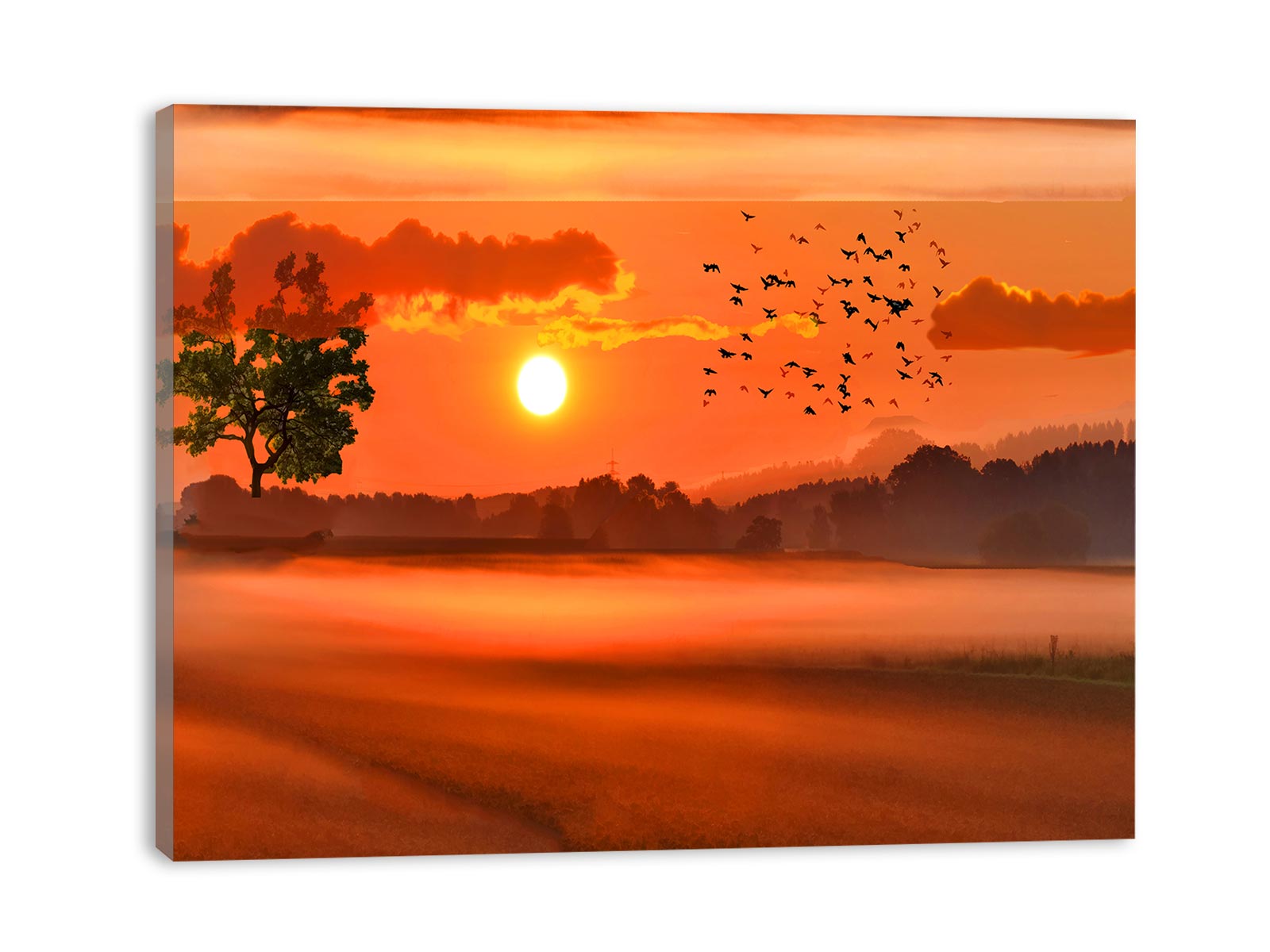 Sunset Brids Painting
