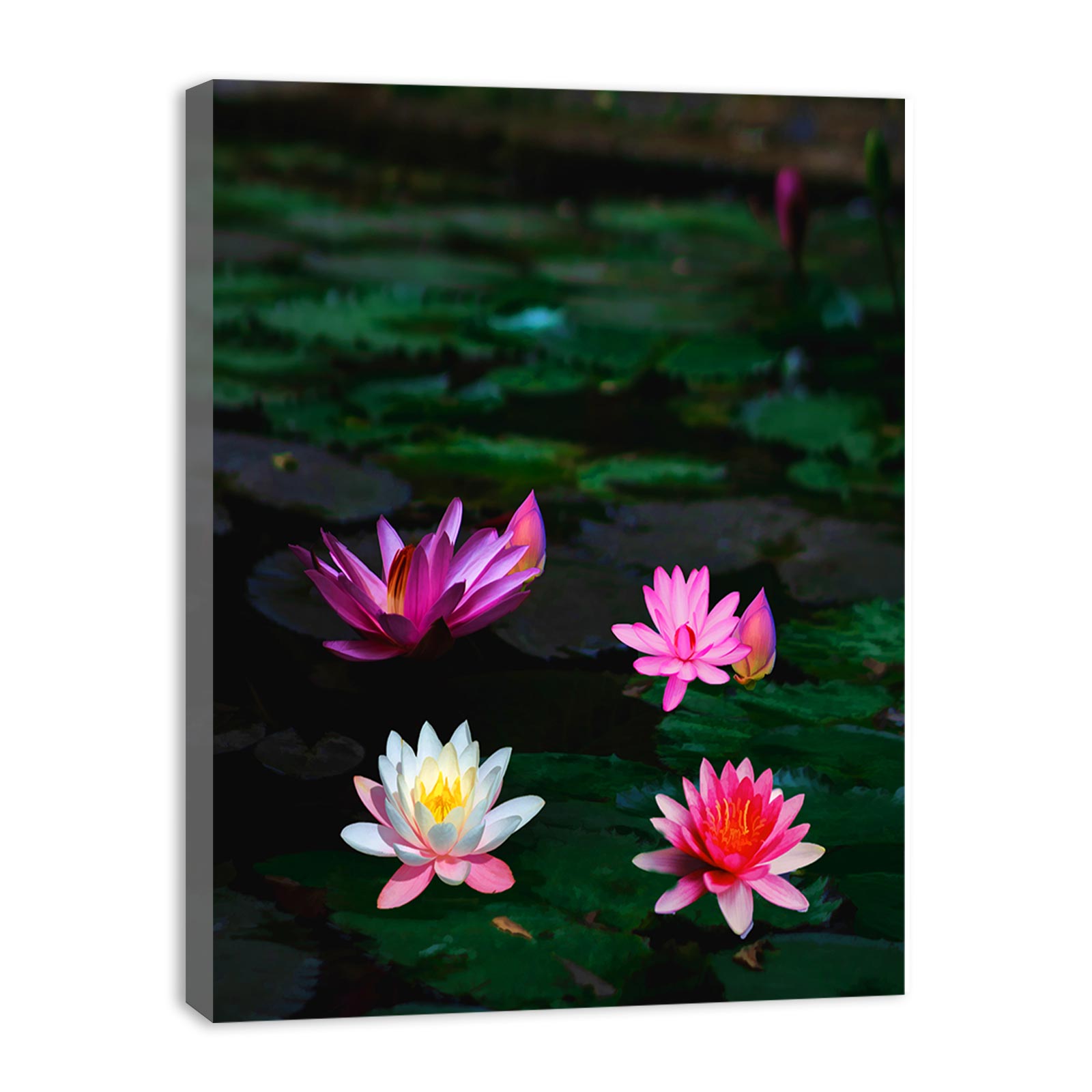 Pink Lily Flower Painting