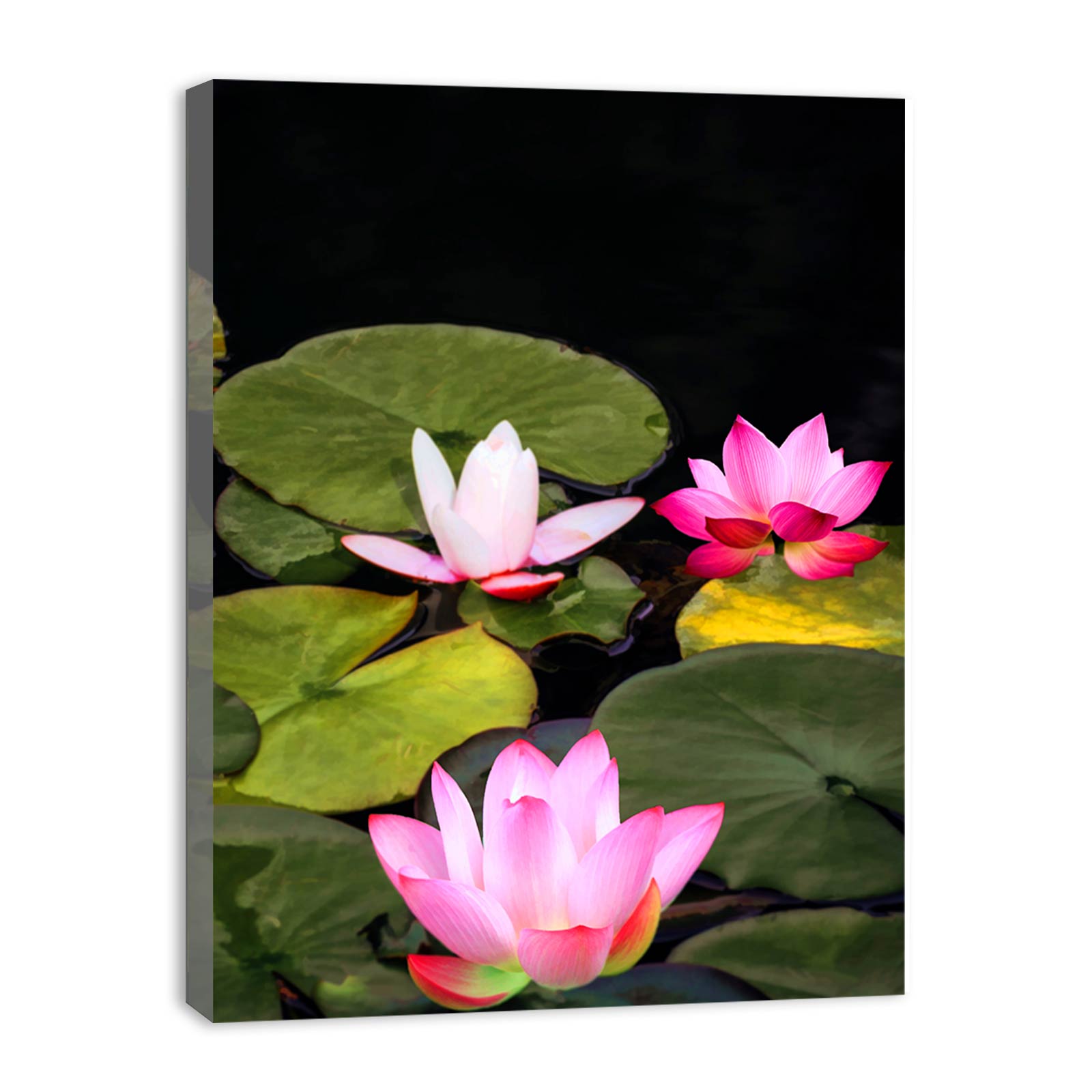 Pink Lily Flower Painting