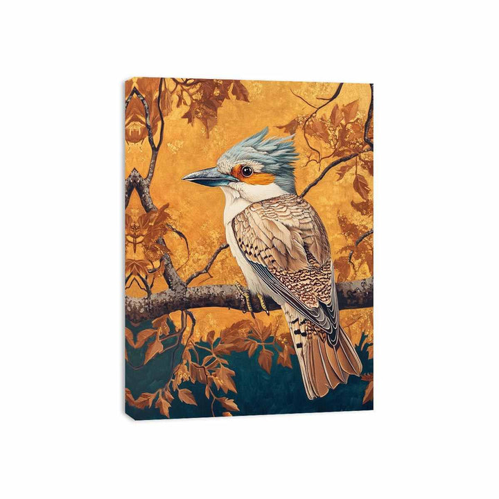 Kookaburra 21 Canvas Print