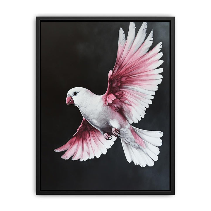 Galah Bird  Painting