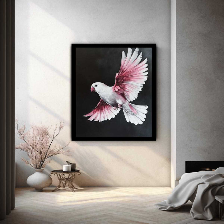 Galah Bird 