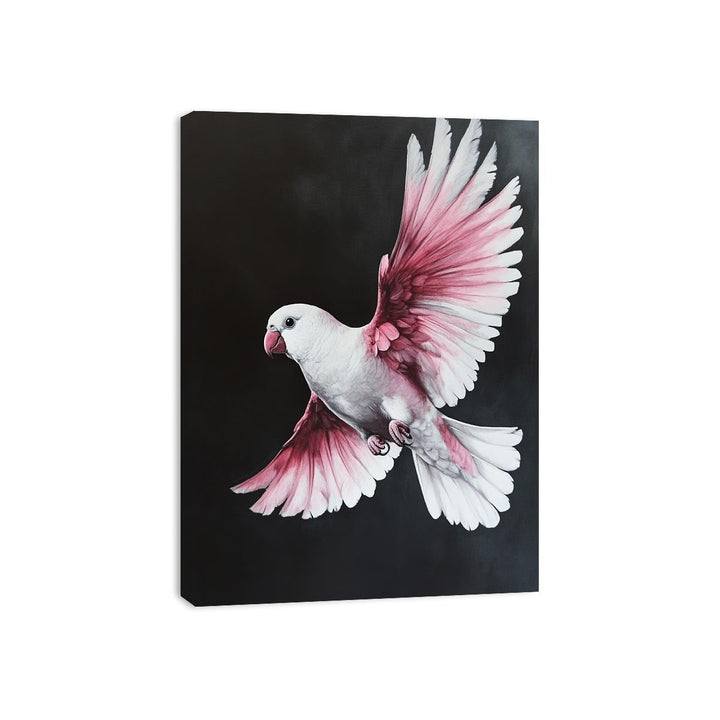 Galah Bird Canvas Print