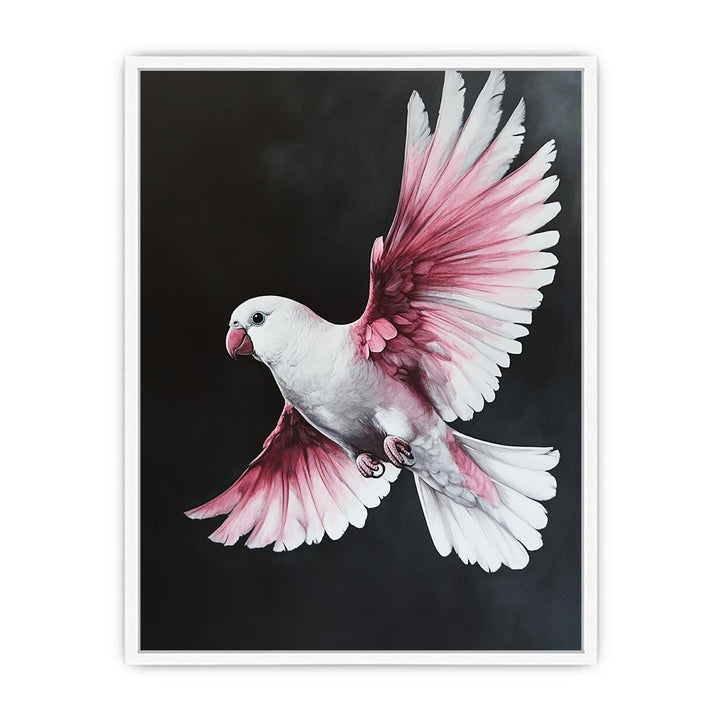 Galah Bird Framed Print
