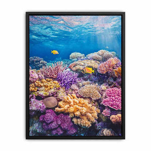 the Great Barrier Reef Photo  Painting