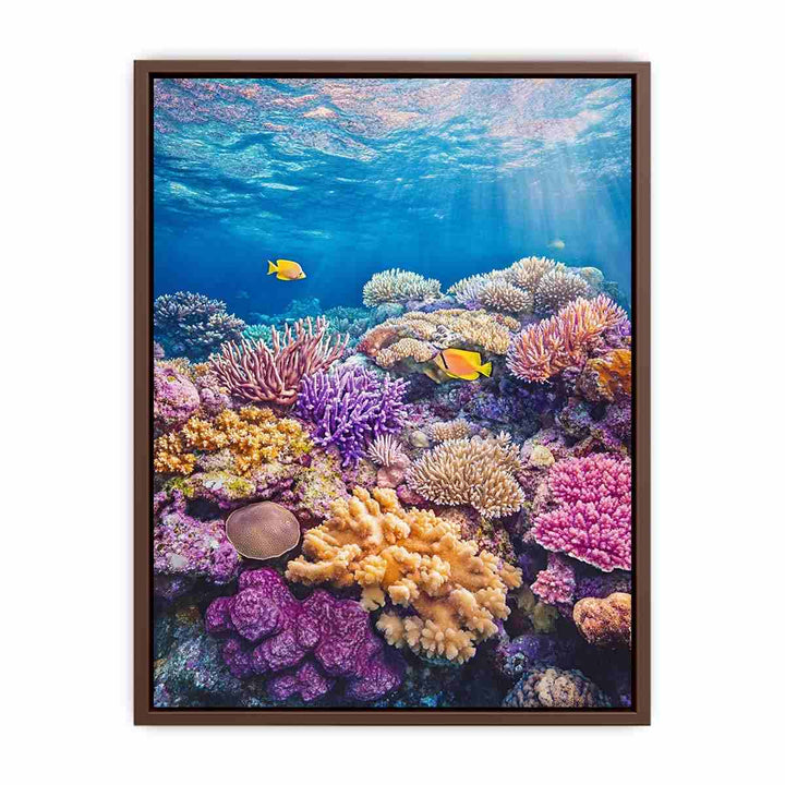 the Great Barrier Reef Photo  Poster