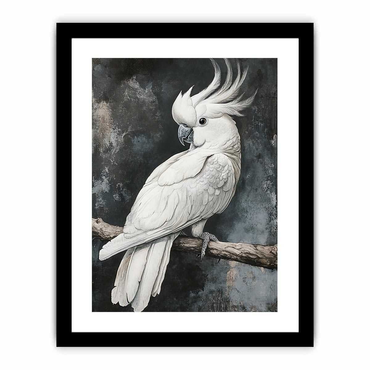 Cockatoo 22  Art Print