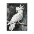 Cockatoo 22