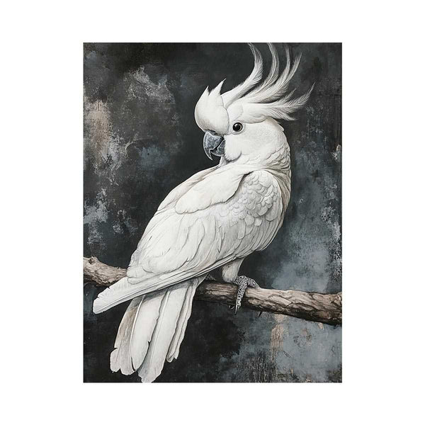 Cockatoo 22