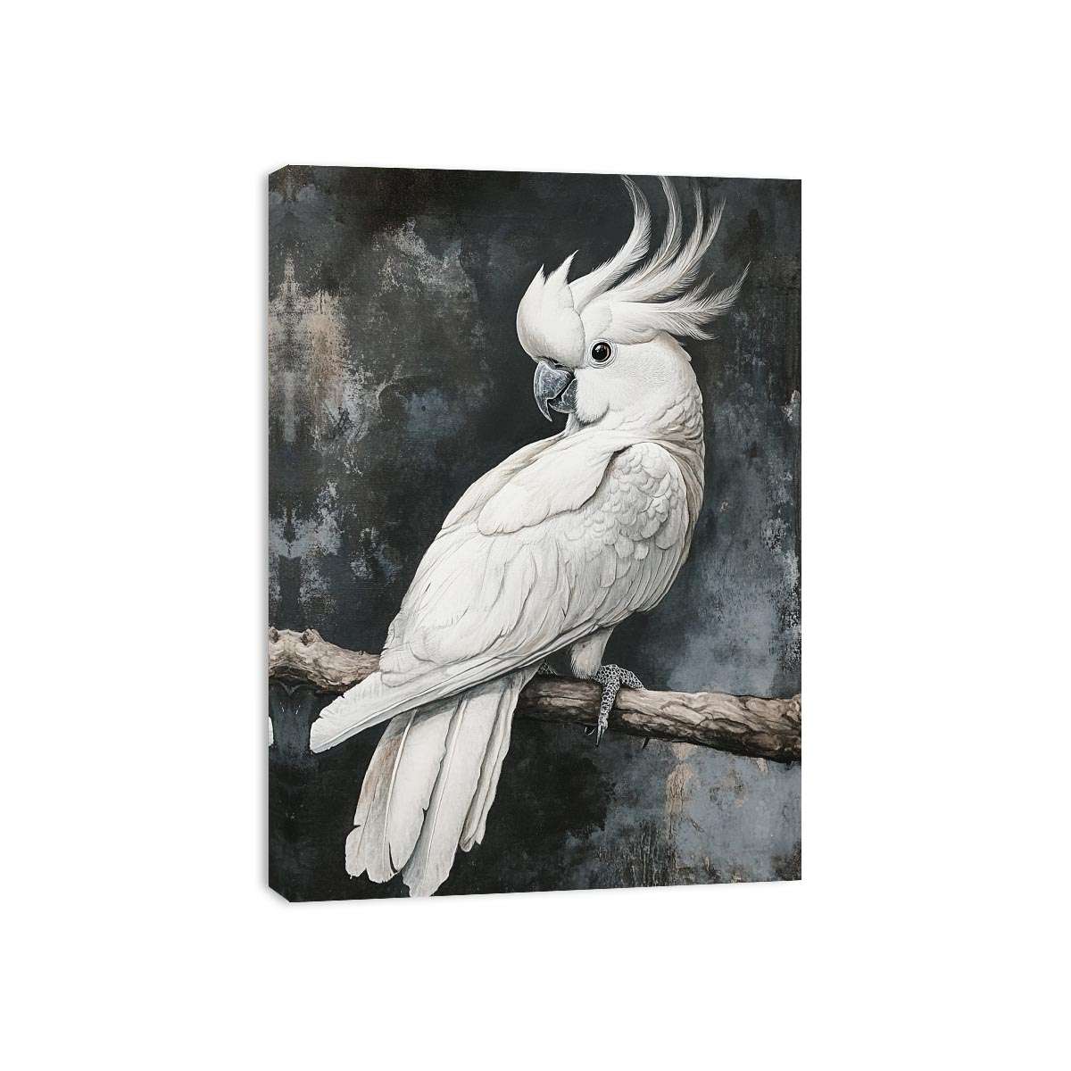 Cockatoo 22 Canvas Print