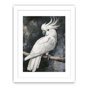 Cockatoo 22 Streched canvas