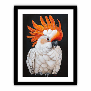 Cockatoo 23  Art Print